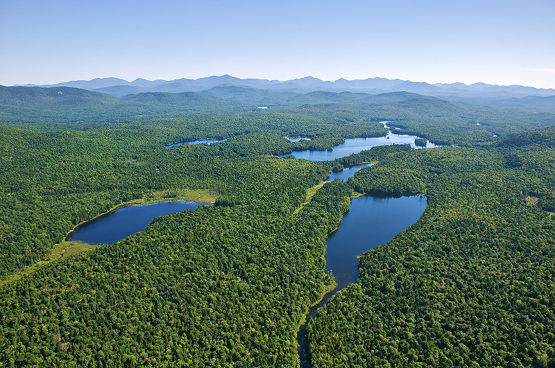 Uploaded Image: /vs-uploads/images/Essex ChainHeilman.jpg